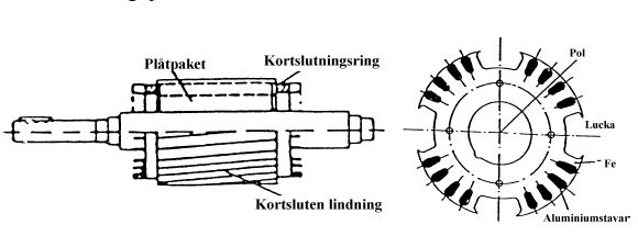 Reluktansmotorns rotor.